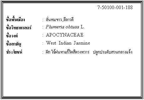 กล่องข้อความ: 7-50100-001-188 ชื่อพื้นเมือง : ลั่นทมขาว,ลีลาวดี ชื่อวิทยาศาสตร์ : Plumeria obtusa L. ชื่อวงศ์ : APOCYNACEAE ชื่อสามัญ : West Indian Jasmine ประโยชน์ : ฝัก ใช้ฝนทาแก้ริดสีดวงทวาร ปลูกประดับสวนกลางแจ้ง